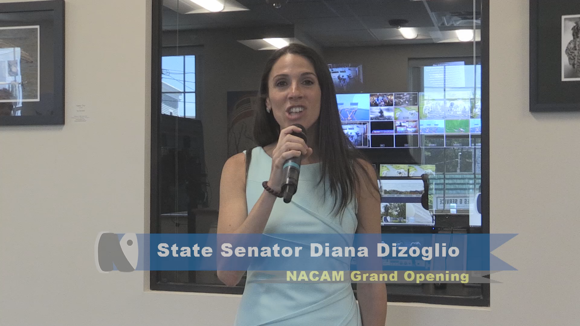 Thumbnail image for NACAM Grand Opening - Diana DiZoglio & Bruce Tarr