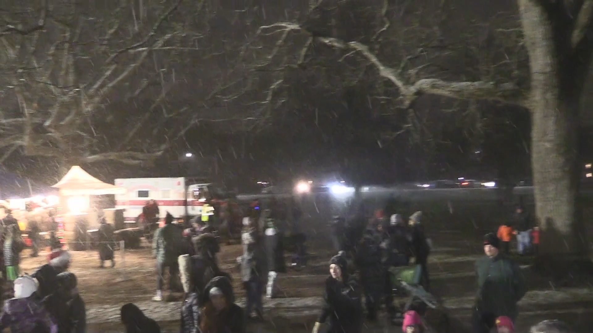 Thumbnail image for 2019 Tree Lighting Spotlight