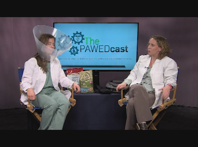 Thumbnail image for  The PAWEDcast - Ep.5