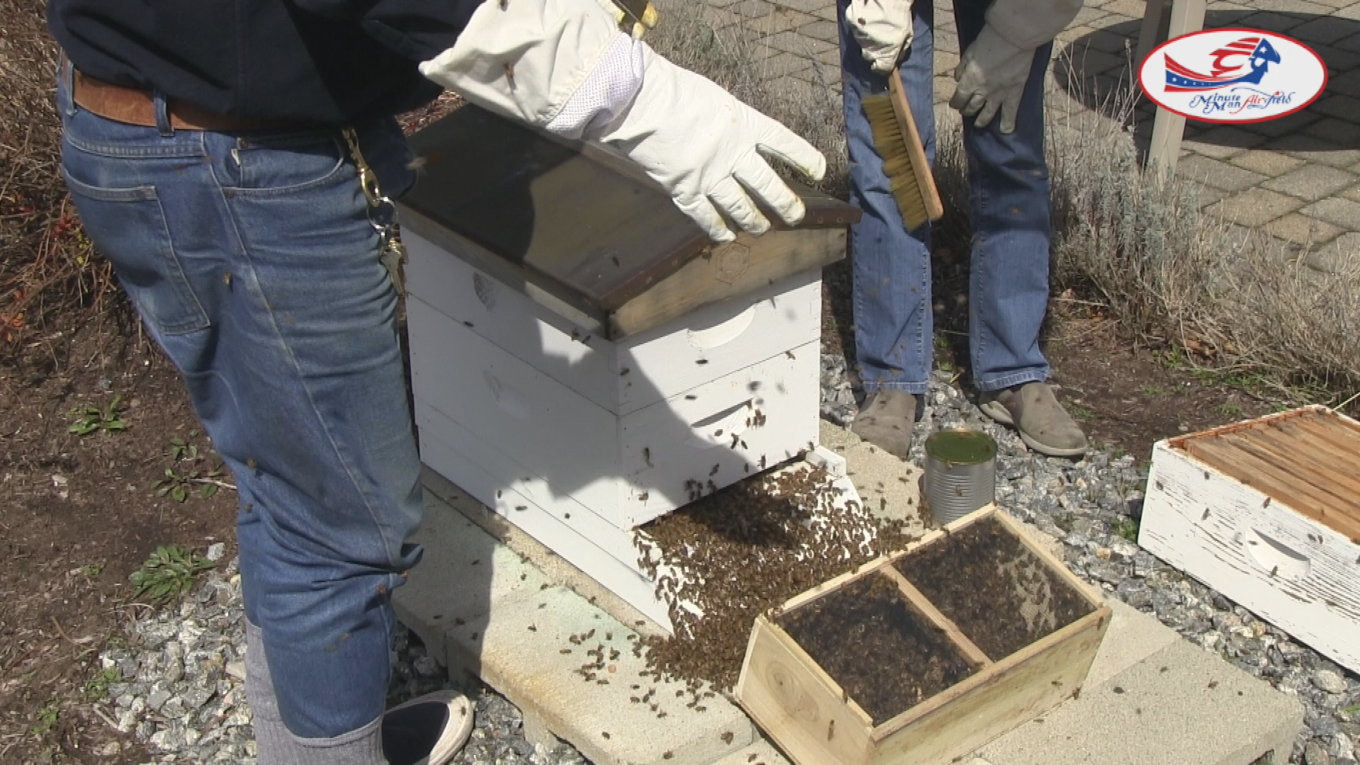Thumbnail image for Beekeeping 101 w/ Don McPherson