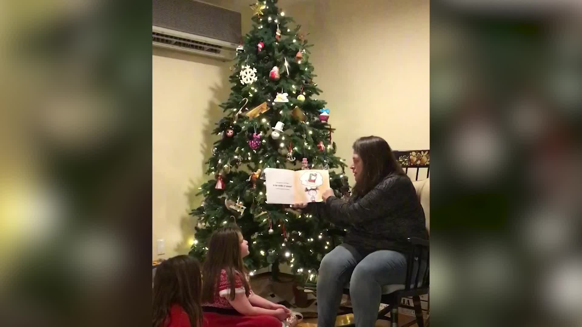 Thumbnail image for Christmas Reading - Melissa Murphy-Rodrigues